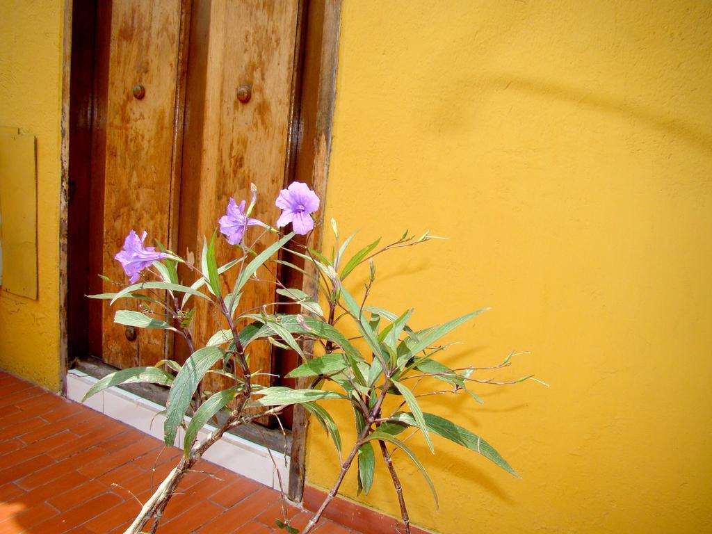 Hotel Casa Vieja Santa Marta  Exteriör bild
